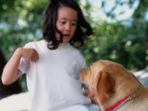 シロアリ駆除の信頼と実績のアサンテ｜即日対応・土日祝も受付