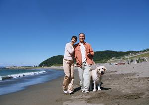 ホワイトテリアの子犬販売をしています