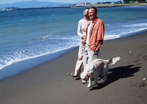 あらゆるペット葬儀・代行をしてくれます