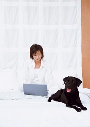 犬用のおやつを豊富な種類で販売する通販